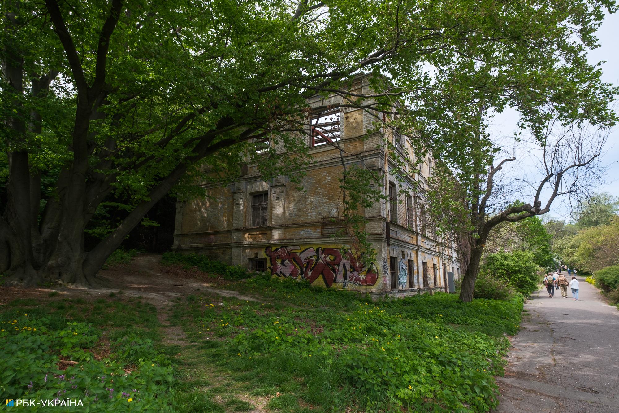 Бузок старіє, а кедр стане новим символом Києва, - Микола Шумик, Ботсад ім. Гришка